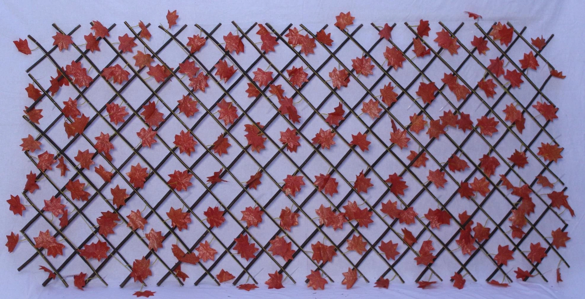 Maple Orange on Wooden Fence90x180 D9